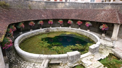 Fosse Dionne, Tonnerre